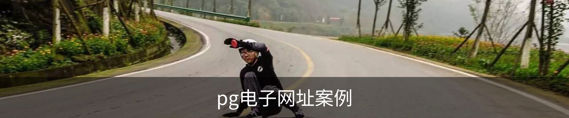 pg电子网址案例