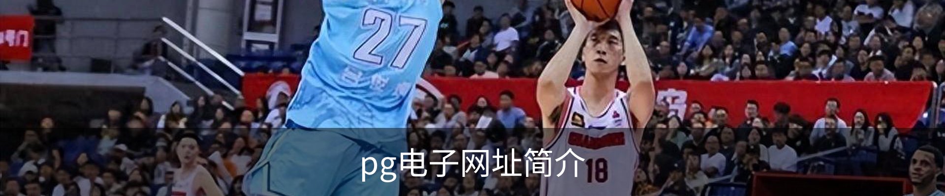 pg电子网址简介